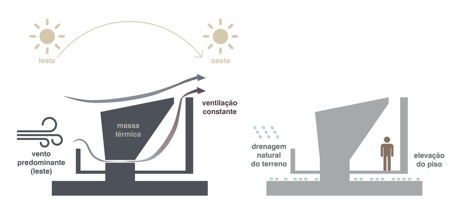 Biomimética