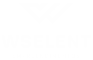 WSelent inova processos com ajuda da tecnologia